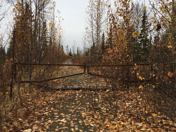 63885 Tailwind Rd, Ninilchik, AK 99639